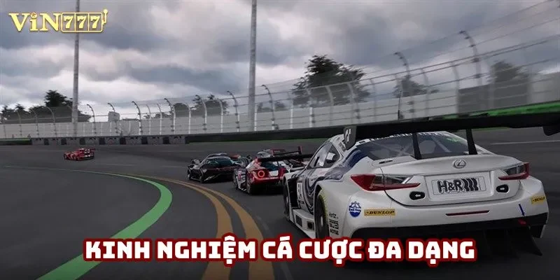 Kinh nghiệm cá cược đa dạng