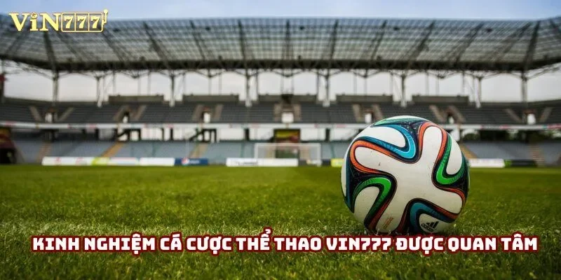 Kinh nghiệm cá cược thể thao Vin777 được quan tâm